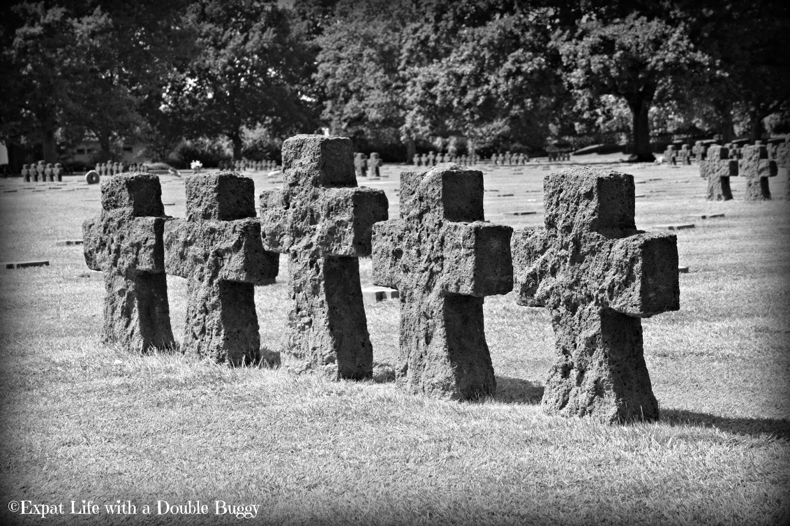 2ff3b-germangraves Lest We Forget - 70 Year Commemoration of D-Day