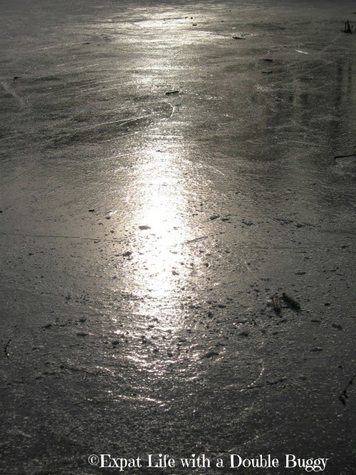 7765a-ice Dutch Speed Skaters Rule Supreme