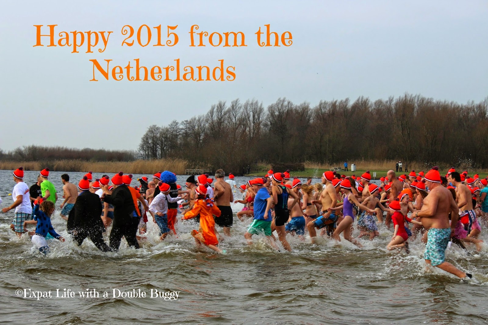 7e1ba-happy2b2015 A Traditional Dutch New Year's Dip