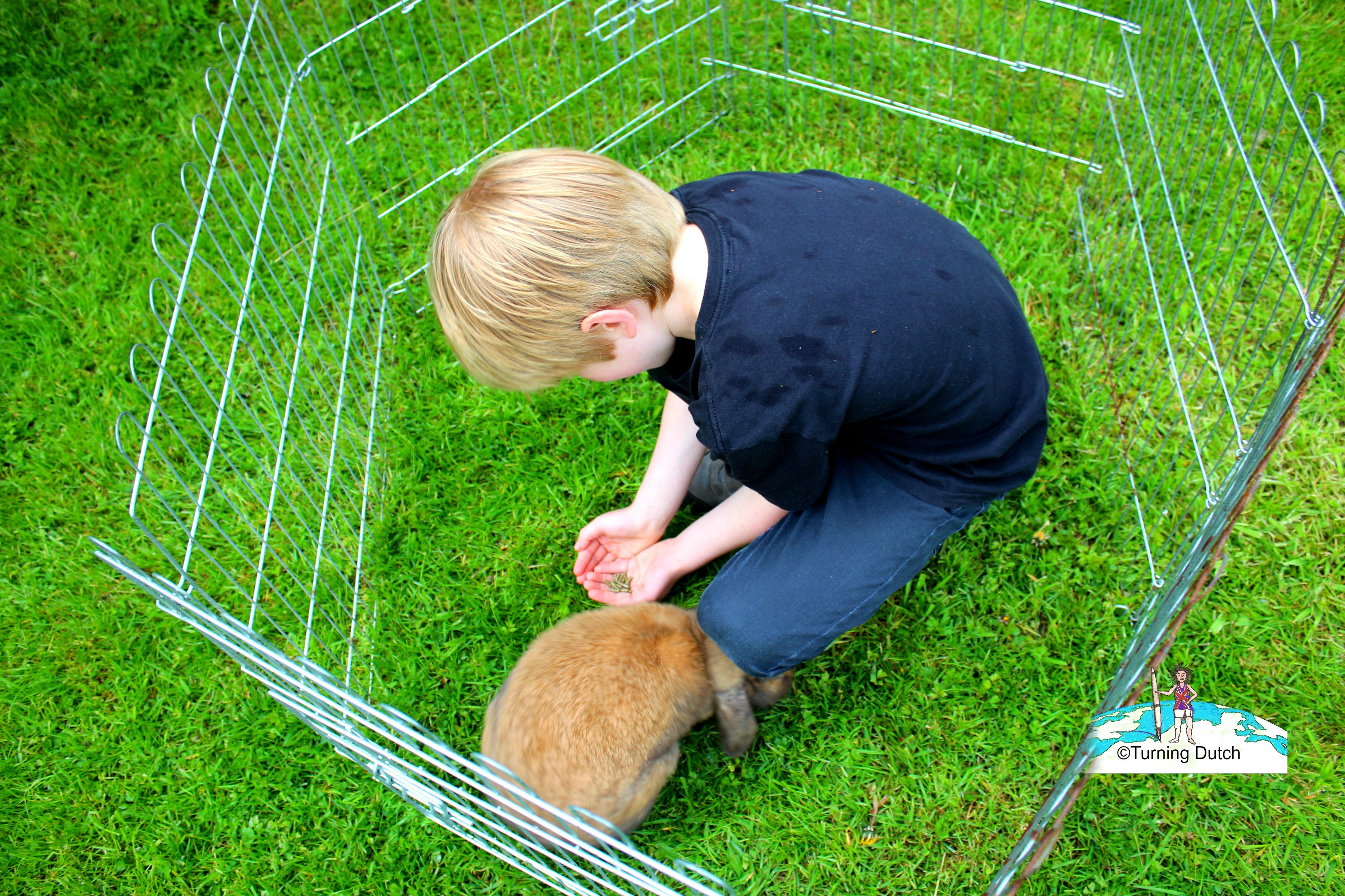 mr-snuffles-farm-camp Why We Loved Our Farm Camps Break