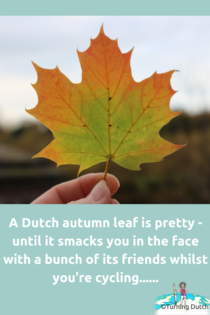 16-must-have-items-to-survive-a-dutch-autumn-leaf 16 Must Have Items to Survive a Typical Dutch Autumn