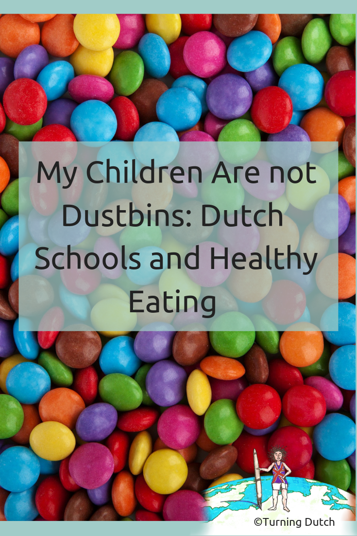 my-children-are-not-dustbins_-schools-and-healthy-eating My Children Are not Dustbins: Schools and Healthy Eating