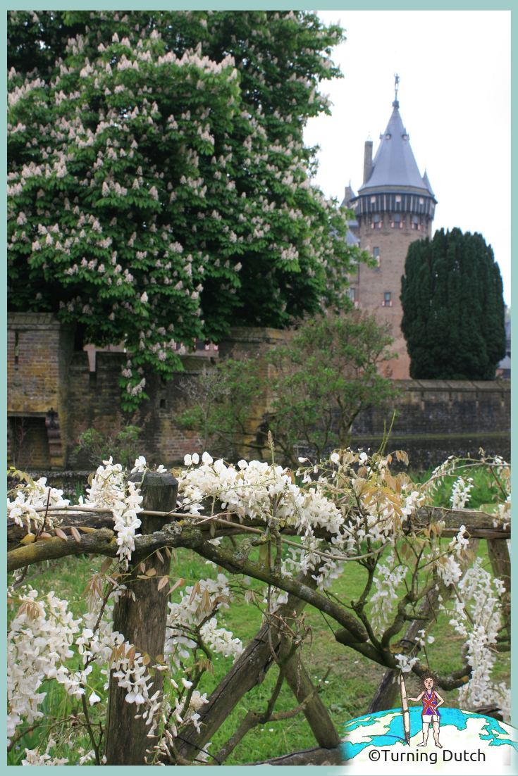 kasteel-de-haar-in-utrecht-view Kasteel De Haar in Utrecht