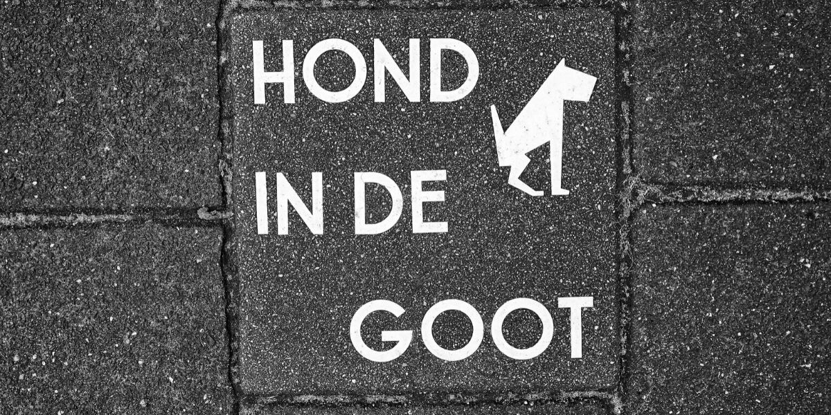 Sign on pavement