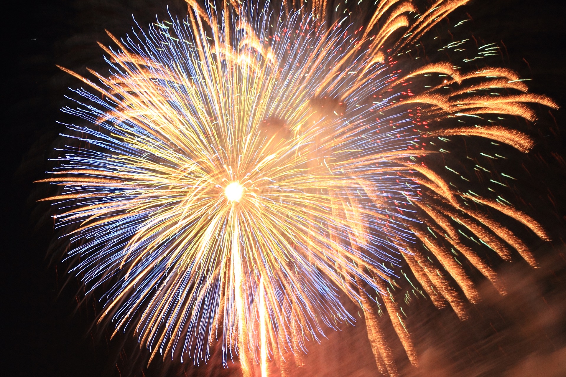 Time For a Firework Ban in the Netherlands - Yes or No?